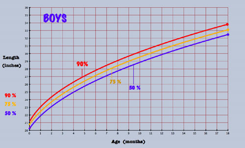 Growth Chart Percentile Explanation