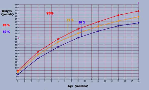 1 Year Old Growth Chart